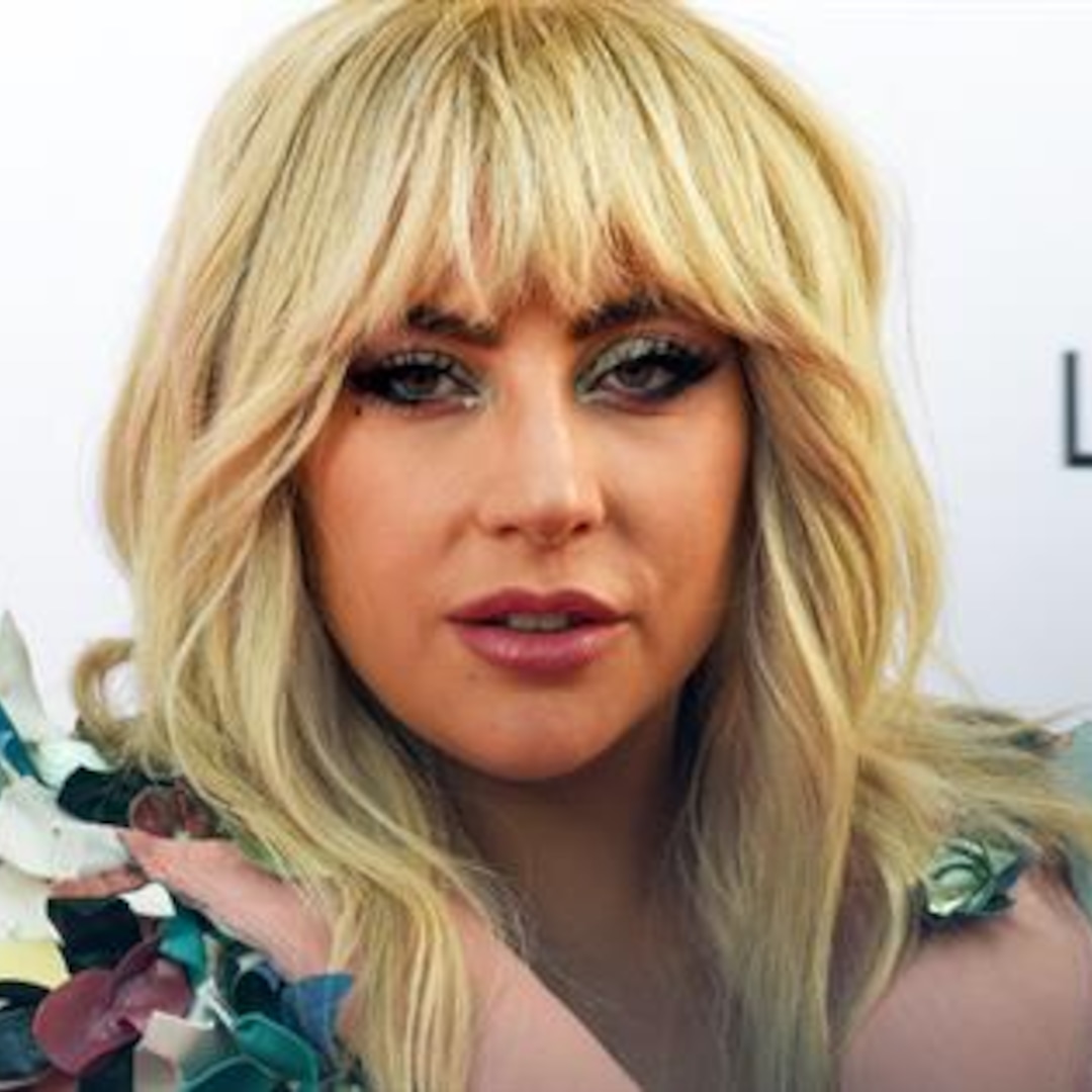 Lady Gaga Offers $500K Reward for Stolen Dogs thumbnail