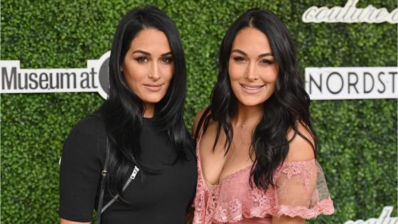 Bella Twins Document Postpartum Life 2 Weeks After Giving Birth