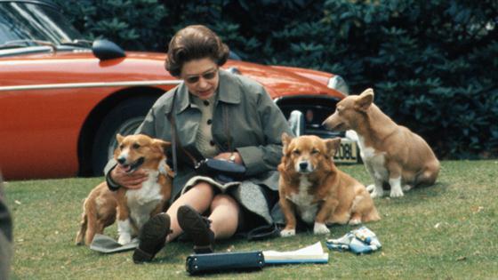 What Will Happen to Queen Elizabeth II’s Beloved Corgis?