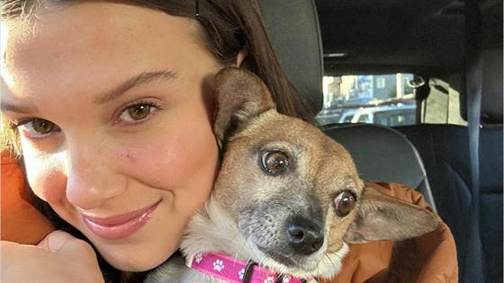 Meet Millie Bobby Brown's Cute Vanderpump Dogs Rescue