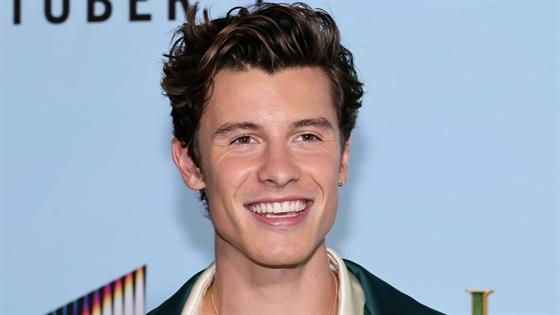 Happy Birthday Shawn Mendes: Shawn Mendes' Top Hairstyles