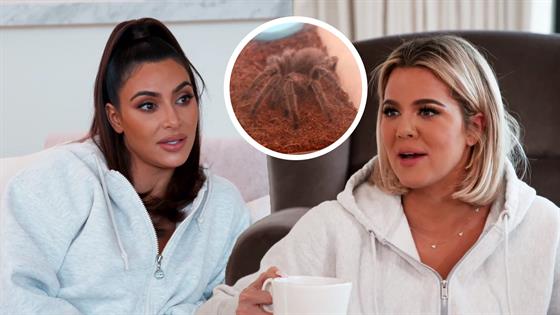 Kims Biggest Fear Comes Crawling Back Kuwtk Katch Up S19 Ep3 E
