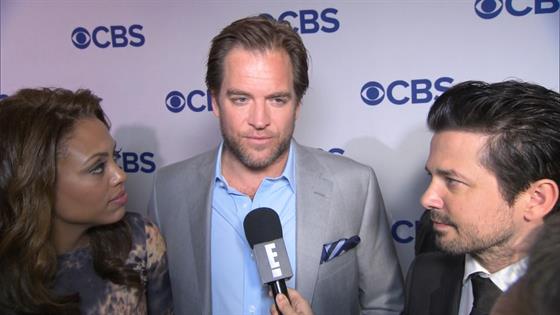 are michael weatherly and cote de pablo dating in real life