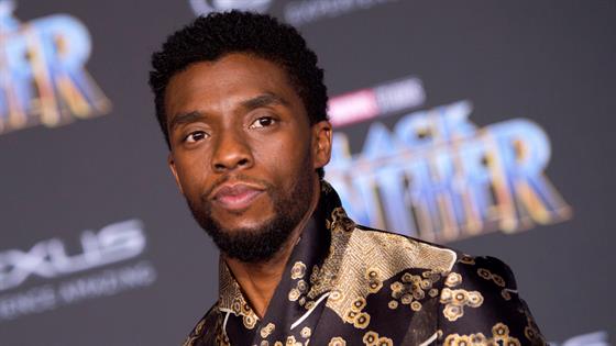 chadwick boseman lego