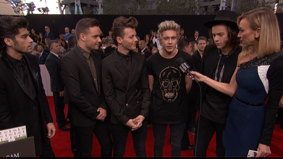 One Direction Gets Sensual At 2014 Amas 