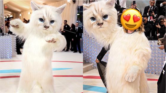 Karl Lagerfeld's Cat Choupette Reveals Whether She Will Attend the 2023 Met  Gala in His Honor