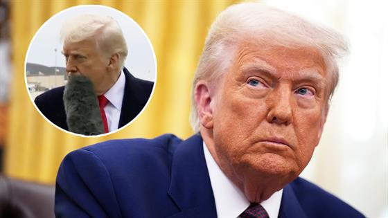 Donald Trump Reacts After Reporter Hits Him in the Face With Microphone