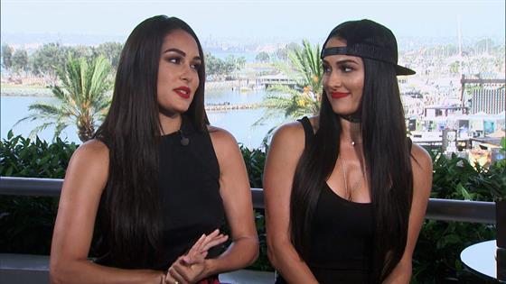 wwe bella twins dolls