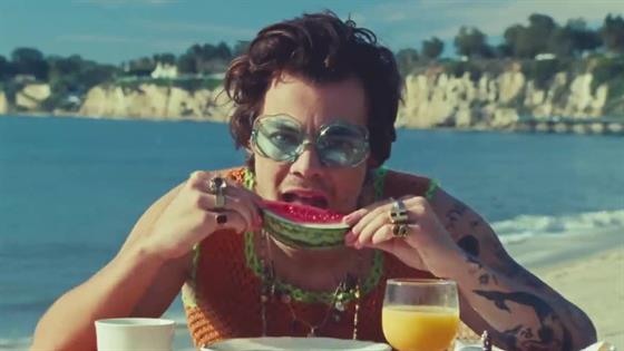 Harry Styles Watermelon Sugar Music Video Is All About Touching 6888