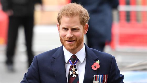 Prince Harry's Memoir Features "Highs and Lows" of Royalty E